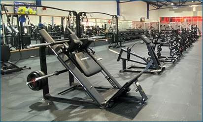 Primal Performance Series Angled Hack Squat